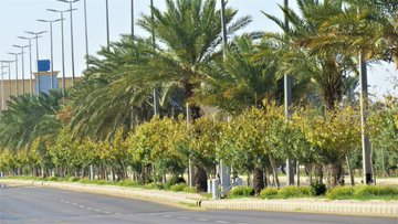مبادرة السعودية الخضراء 
