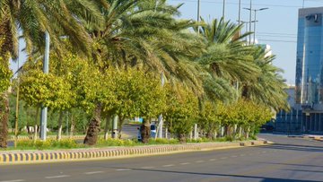  الزهور وأشجار الظل تزين الميادين والشوارع بمدينة سكاكا