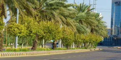  الزهور وأشجار الظل تزين الميادين والشوارع بمدينة سكاكا