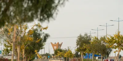 شوارع سكاكا تكتسي بحلة خضراء من الأشجار والغطاء النباتي