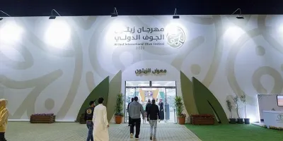 25 مليون شجرة زيتون تدعم الاقتصاد بمنطقة الجوف.. والمهرجان الدولي يفتح نوافذ التسويق للمنتجين